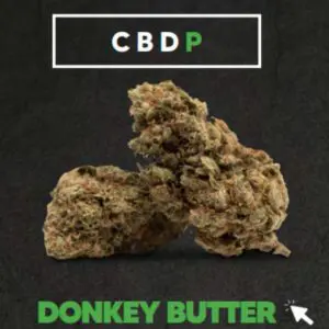 Donkey Butter CBDP