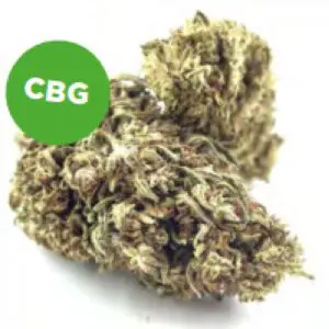 Orange Bud CBG 10%