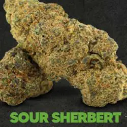 Sour Sherbert - 30% OH+