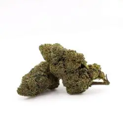 Rainbow Warrior HHX 40.6% – Qualité Premium Certifiée