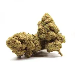 Mac & Cheese 10% CBDP