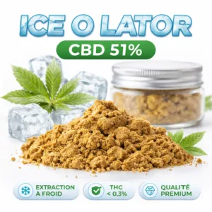 Ice O Lator CBD 51% extract concentré texture fine MJ Store