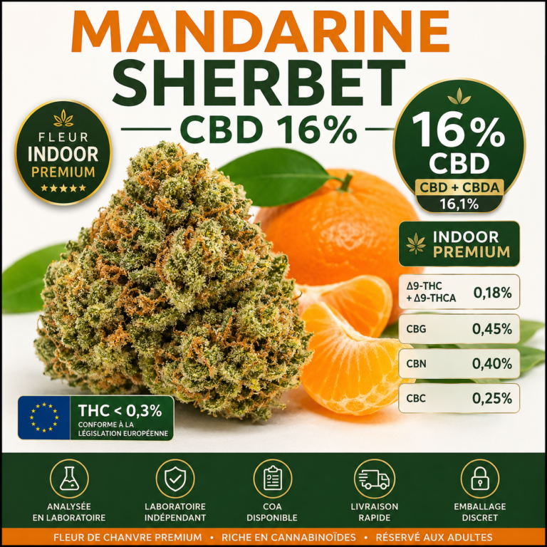 Mandarine Sherbet CBD 16% fleur indoor premium analysée COA disponible MJ Store