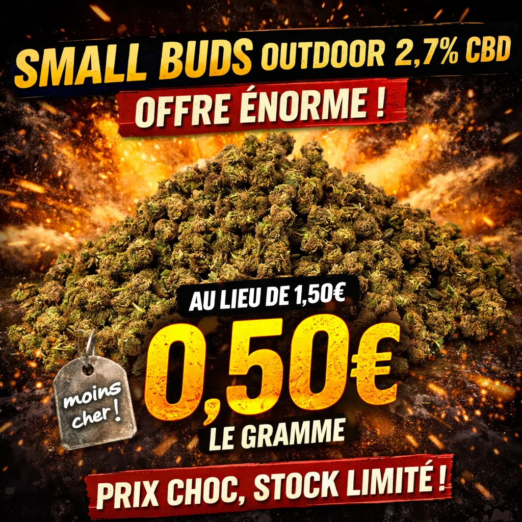 Small Buds Outdoor 2.7% CBD en promotion à 0,50€ le gramme