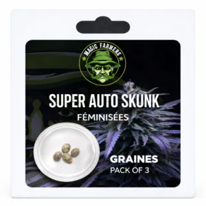 Super Auto Skunk féminisées pack 3 graines automatiques collection MJ Store