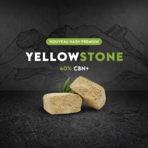 Yellowstone 40% CBN+ hash premium riche en CBN avec texture compacte et analyse laboratoire certifiée