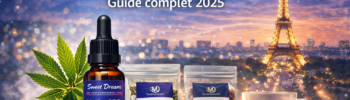 CBD bienfaits et usages en France – guide complet sur les effets du cannabidiol et sa légalité