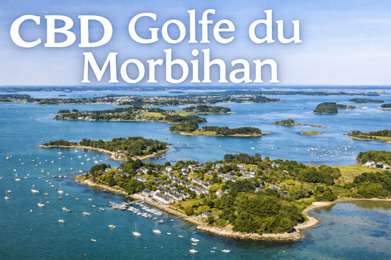 Golfe du Morbihan en Bretagne avec îles et bateaux illustration livraison CBD Golfe du Morbihan