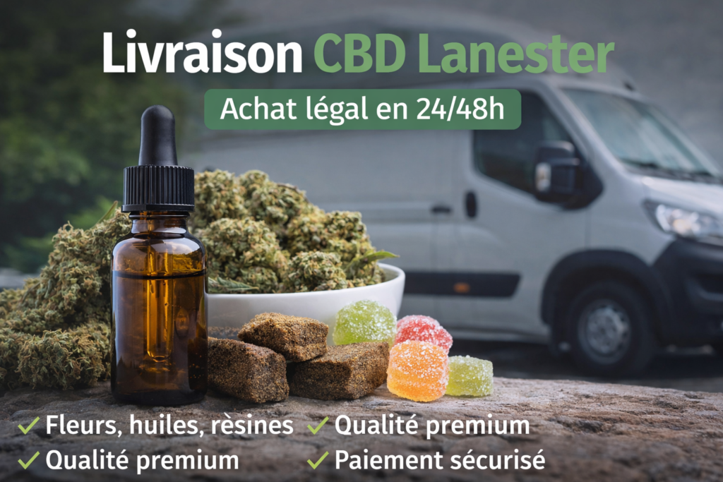 CBD Lanester livraison rapide fleurs huiles résines MJ Store
