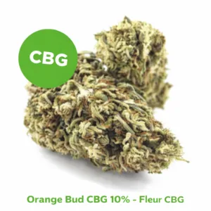 Orange Bud CBG 10% fleur compacte verte