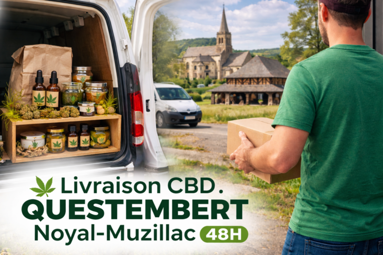 CBD Questembert Noyal-Muzillac livraison rapide 48h fleurs huiles résines