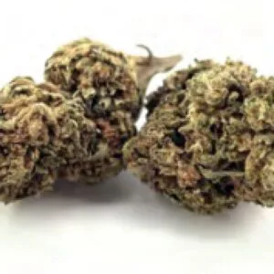 Fleurs Ak47 17% CBN et 3,5% CBD sur fond blanc