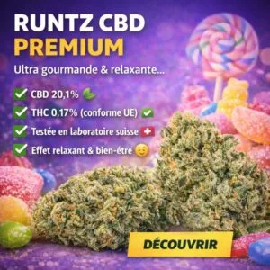 Fleur CBD Runtz 20% premium riche en cannabinoïdes