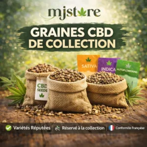 Graines CBD de collection