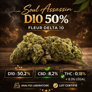 Soul Assassin D10 50% fleur Delta 10 têtes compactes analyse laboratoire