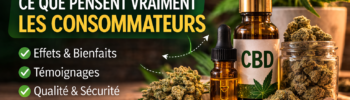 CBD avis utilisateurs effets du cannabidiol stress sommeil bien etre