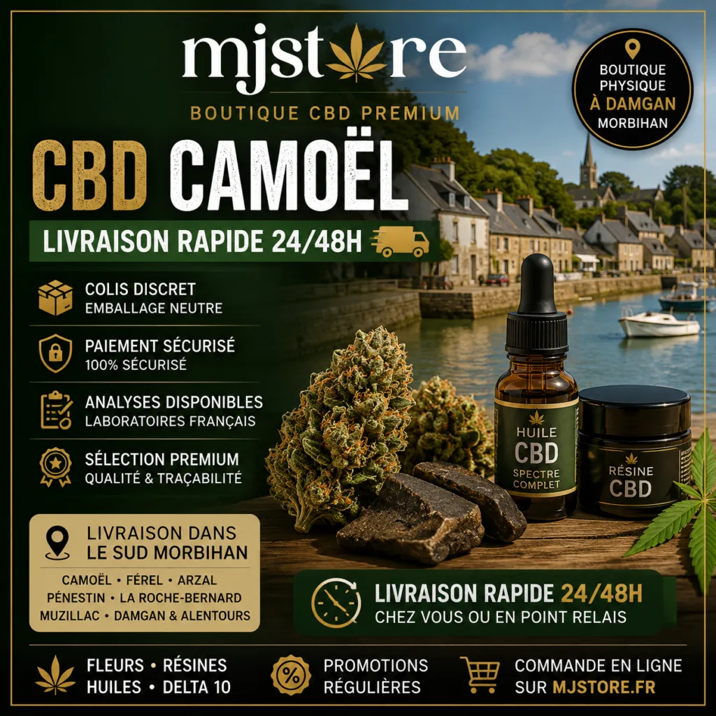 CBD Camoël livraison rapide 24/48h avec MJ Store boutique CBD proche à Damgan colis discret