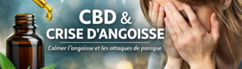 CBD crise d’angoisse : illustration sur l’utilisation du cannabidiol pour calmer l’anxiété et les attaques de panique