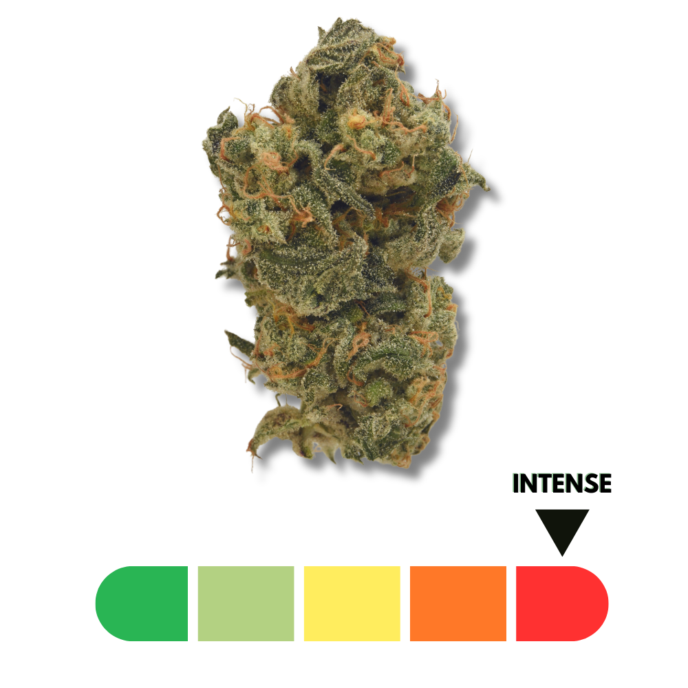 CBD D10 THC Delta 10 fleurs et résines nouvelle génération MJ Store