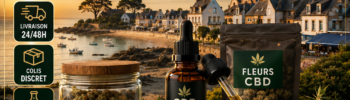 CBD Damgan boutique MJ Store livraison rapide fleurs résines huiles et analyses disponibles