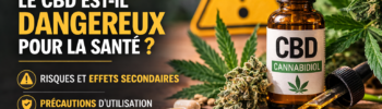 CBD danger risques et effets secondaires du cannabidiol
