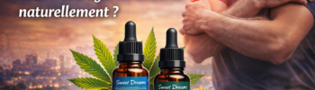 CBD douleur – huiles CBD et CBG pour accompagner les tensions musculaires et la récupération