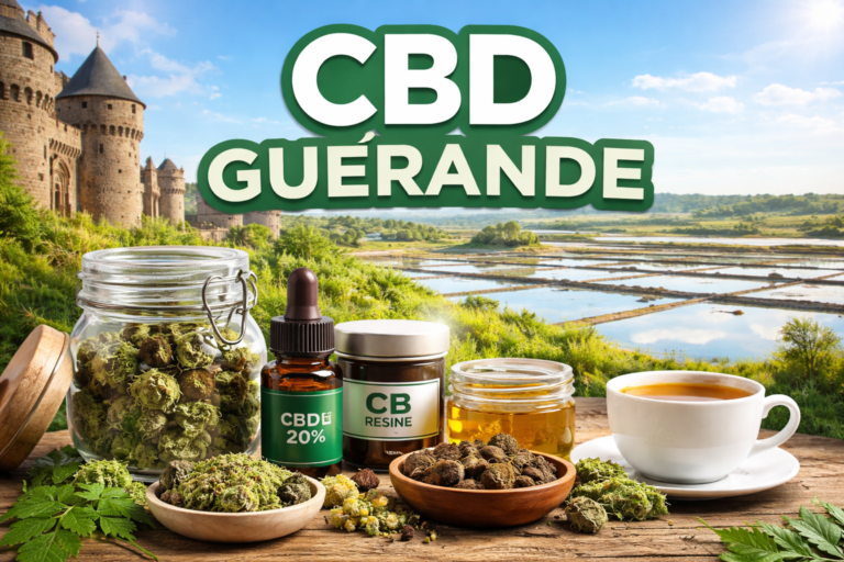 CBD Guérande livraison rapide fleurs huiles résines boutique MJ Store presqu'île guerandaise