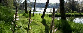 Livraison de CBD à Marzan en 24/48h – fleurs, résines et huiles premium