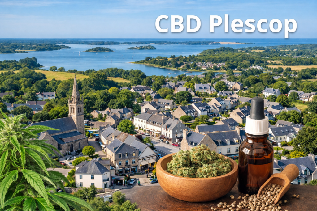 CBD Plescop livraison rapide fleurs CBD huiles résines Morbihan bien-être naturel