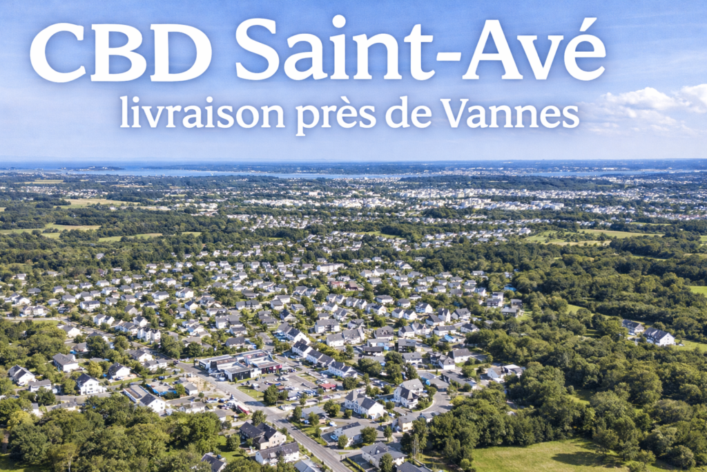 Vue de Saint-Avé dans le Morbihan près de Vannes illustration livraison CBD Saint-Avé