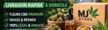 CBD Saint-Herblain livraison rapide de fleurs huiles et résines