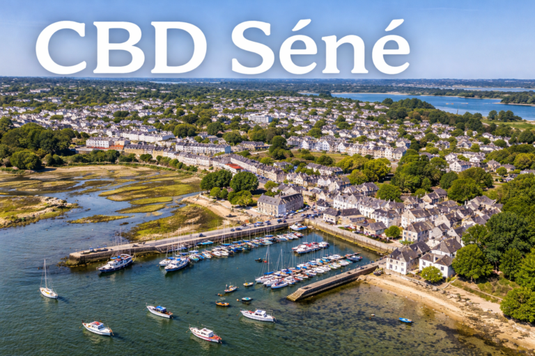 Port-Anna à Séné dans le Golfe du Morbihan avec bateaux et paysage maritime breton