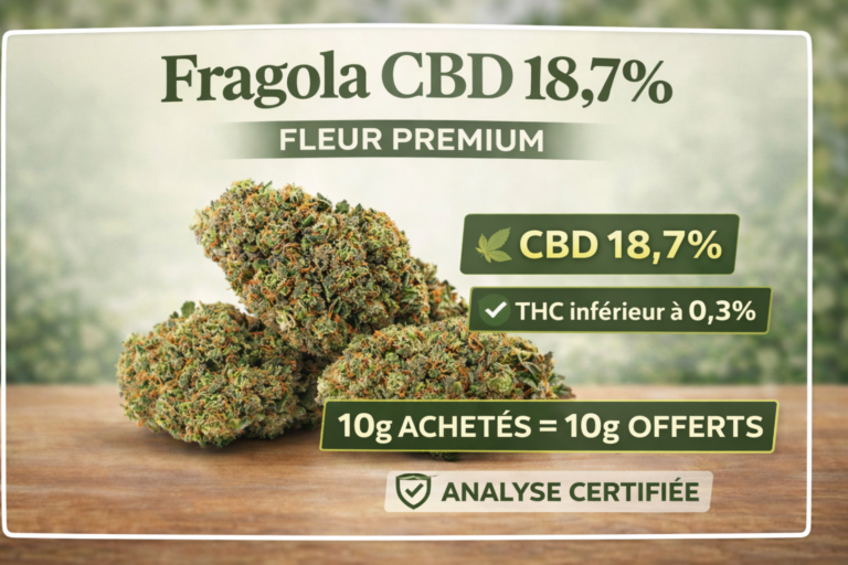 fragola cbd 18.7 fleur cbd premium riche en trichomes