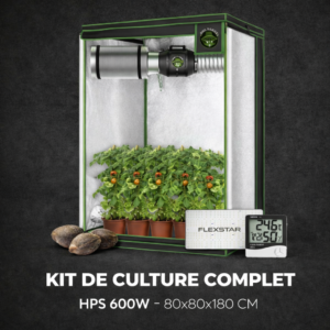 kit de culture HPS 600W complet box indoor 80x80x180 avec ventilation et filtre à charbon
