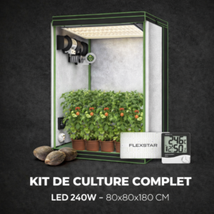 kit de culture LED 240W complet box indoor 80x80x180 avec ventilation et filtre à charbon