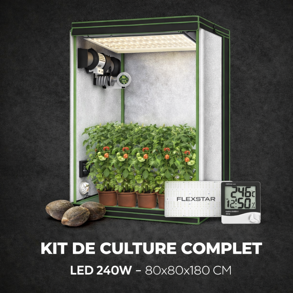 kit de culture LED 240W complet box indoor 80x80x180 avec ventilation et filtre à charbon