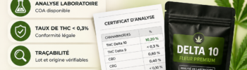 comment choisir thc delta 10 guide qualite analyse laboratoire coa produit chanvre