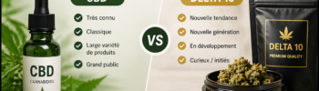 delta 10 vs cbd comparatif differences guide 2026 choix produit chanvre cbd delta 10 mjstore