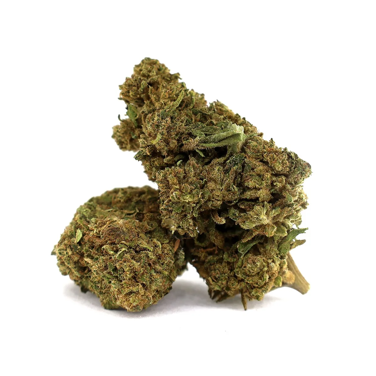 fleur white rhino cbd 17 puissante relaxation arômes terreux cannabis légal premium