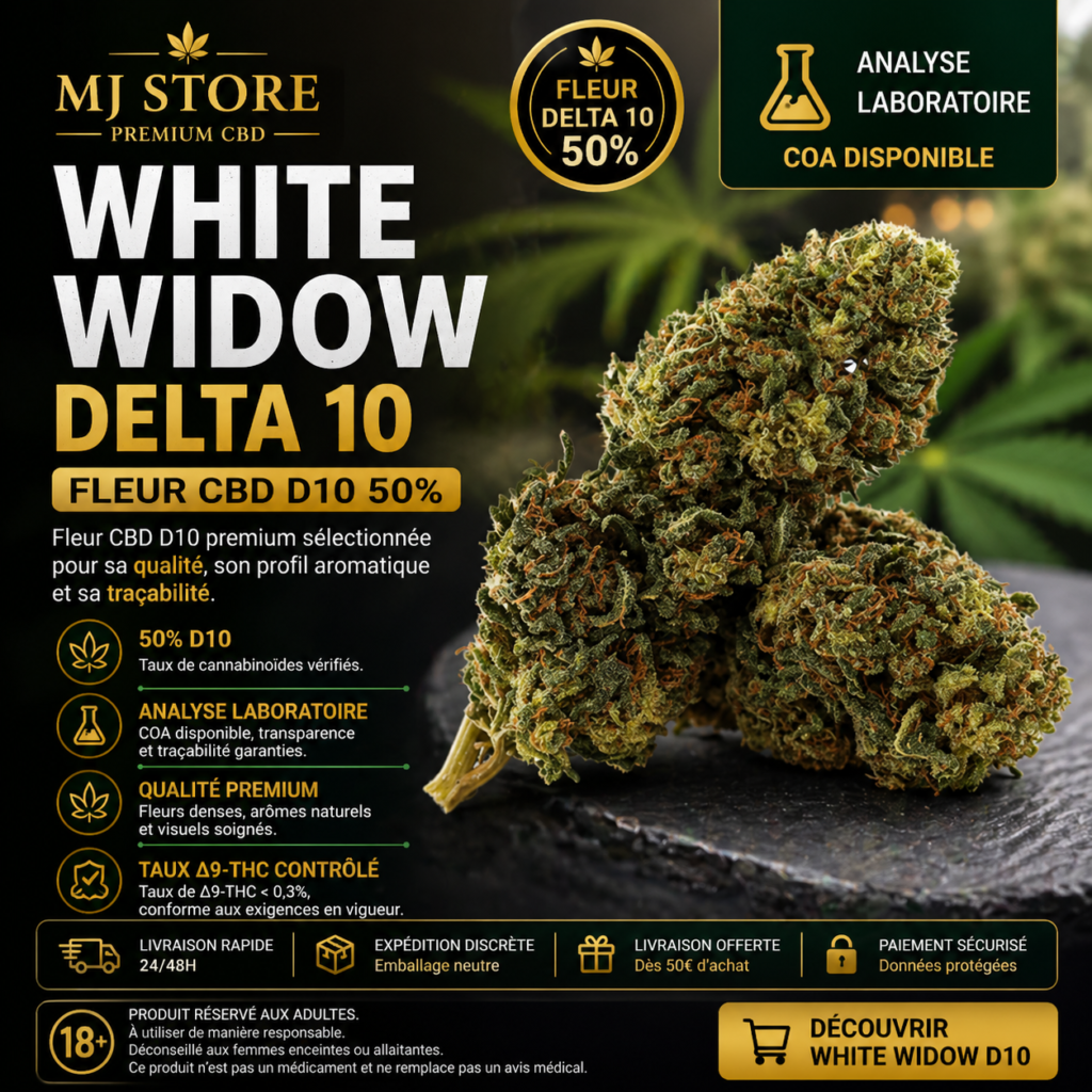 White Widow Delta 10 fleur CBD D10 50 avec analyse laboratoire MJ Store