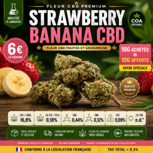 Strawberry Banana CBD fleur premium analysée avec offre 10g achetés 10g offerts MJ Store