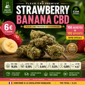 Strawberry Banana CBD fleur premium analysée avec offre 10g achetés 10g offerts MJ Store