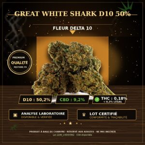 Fleur Great White Shark D10 50 % avec analyse laboratoire visible chez MJ Store