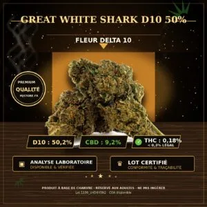 Fleur Great White Shark D10 50 % avec analyse laboratoire visible chez MJ Store