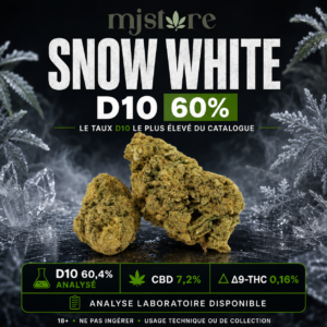 Fleur Snow White D10 60 % analysée en laboratoire – MJ Store
