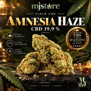 Visuel Amnesia Haze CBD 19,9 % : fleurs sur ardoise dans un décor vert et doré, avec l’identité MJ Store.
