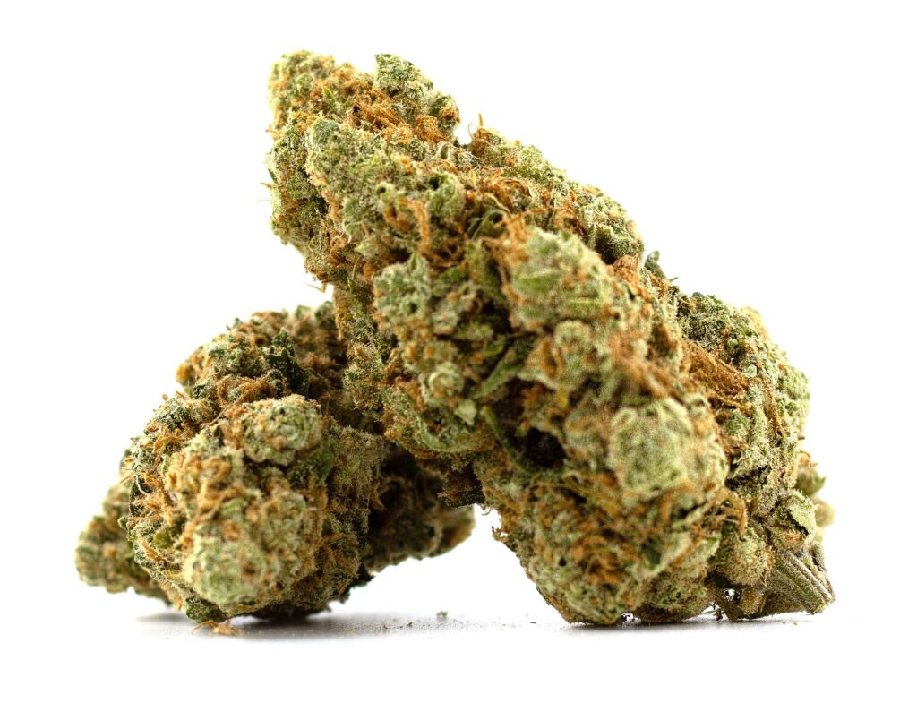 Fleurs Amnesia Haze CBD aux teintes vertes et aux pistils orangés, photographiées sur fond blanc.