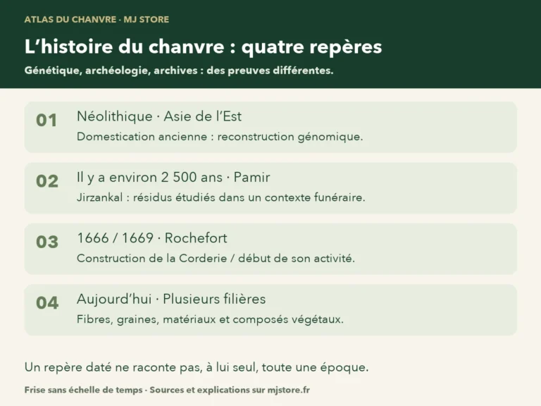 Quatre repères : domestication au Néolithique d’après une étude génomique ; traces de Jirzankal il y a environ 2 500 ans ; Corderie de Rochefort construite à partir de 1666 et active en 1669 ; diversité des filières actuelles. La frise ne respecte pas une échelle de temps.