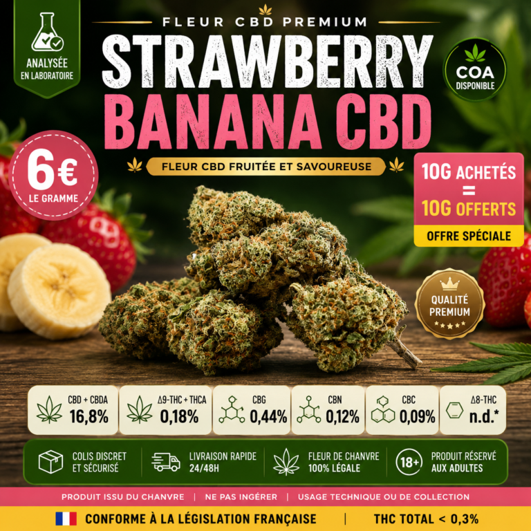 CBD à Bayeux et dans le Bessin – sélection MJ Store