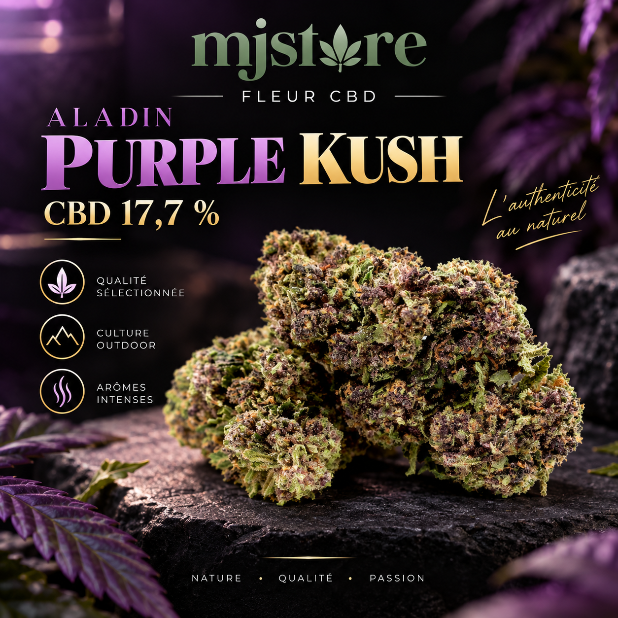 CBD Blois et arrondissement : sélection de fleurs CBD MJ Store